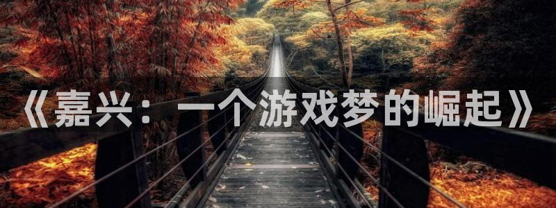 摩根娱乐是正规合法的吗是真的吗知乎：《嘉兴：一个游戏梦的崛起