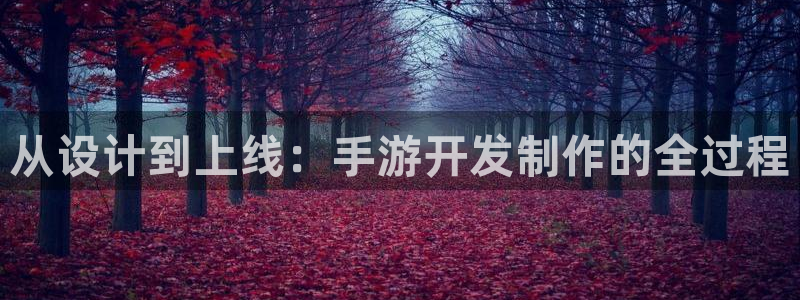 摩根娱乐官网入口网站：从设计到上线：手游开发制作的全过程