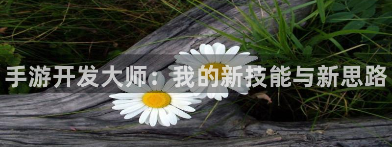 摩根娱乐官网入口网址是多少：手游开发大师：我的新技能与新思路