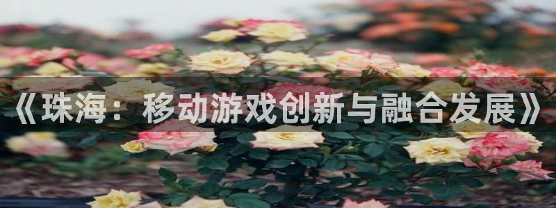 摩根娱乐挂机教程视频：《珠海：移动游戏创新与融合发展》