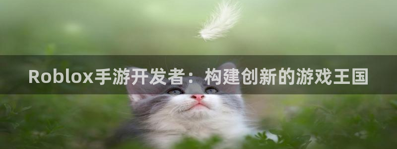 摩根娱乐官网入口网站下载：Roblox手游开发者：构建创新的