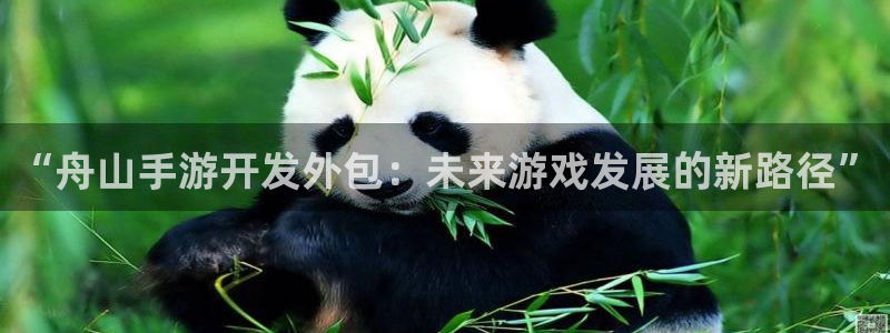 摩根娱乐登录：“舟山手游开发外包：未来游戏发展的新路径”