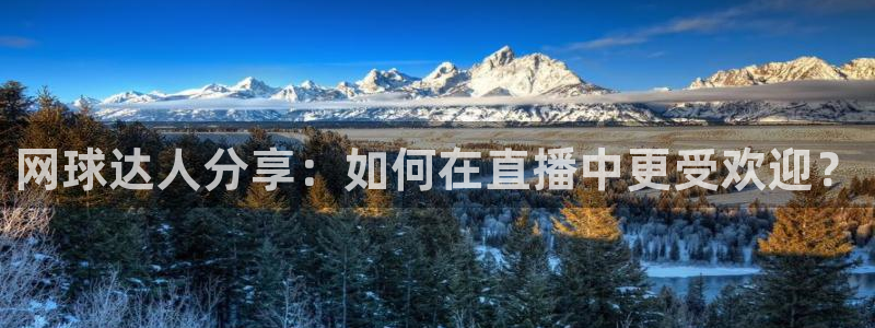 nba球神直播在线观看：网球达人分享：如何在直播中更受欢迎？