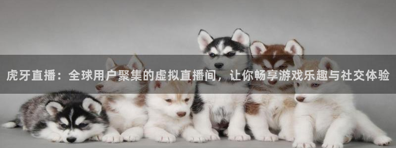 球神直播足球直播：虎牙直播：全球用户聚集的虚拟直播间，让你畅享游戏乐趣与社交体验