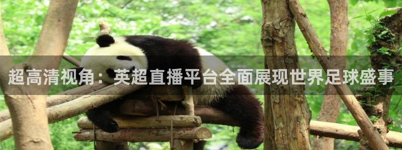 足球球神直播在线观看：超高清视角：英超直播平台全面展现世界足球盛事
