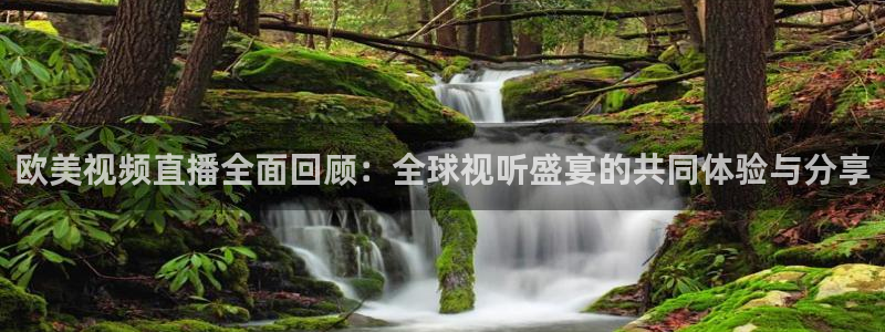 球神体育