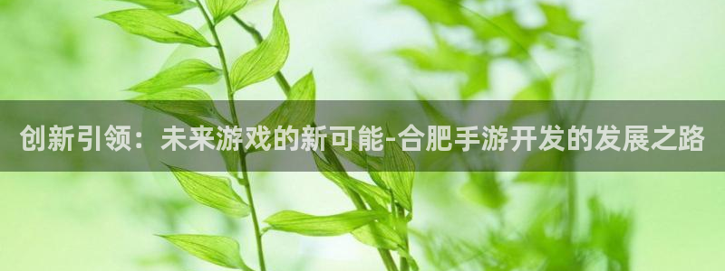 摩根娱乐挂机教程下载：创新引领：未来游戏的新可能-合肥手游开