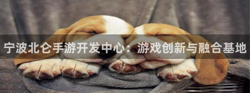 摩根娱乐娱乐官网入口：宁波北仑手游开发中心：游戏创新与融合基