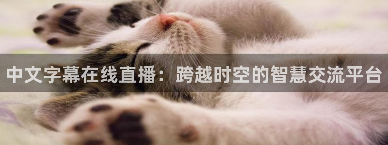 球神直播在线直播免费观看：中文字幕在线直播：跨越时空的智慧交流平台