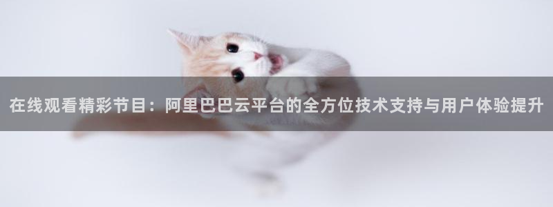 球神看球直播：在线观看精彩节目：阿里巴巴云平台的全方位技术支持与用户体验提升