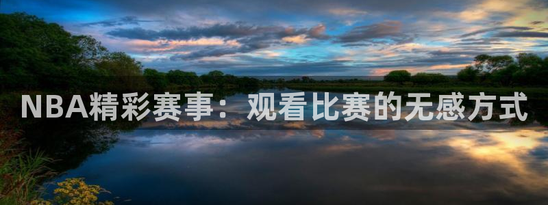 球神直播体育在线：NBA精彩赛事：观看比赛的无感方式