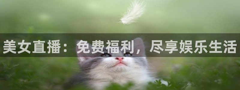 球神体育直播在线：美女直播：免费福利，尽享娱乐生活