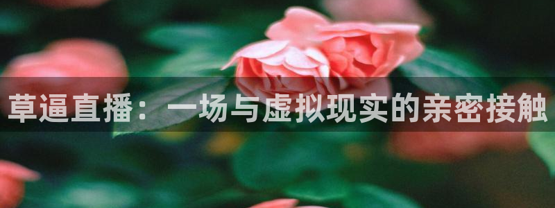 nba直播球神：草逼直播：一场与虚拟现实的亲密接触