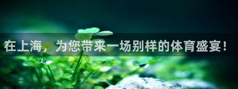 球神足球直播在线观看：在上海，为您带来一场别样的体育盛宴！
